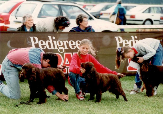 junior handling